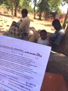 Enrolment in demo plots