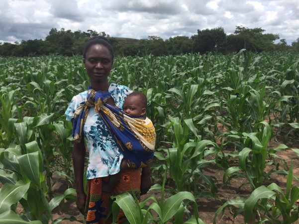 Farmer in her maize field